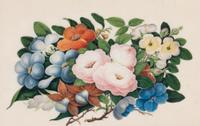 A Set of Twelve Chinese Export Watercolor and Pith Botanical Paintings