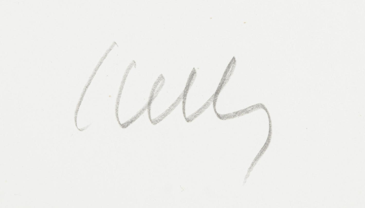Cyclamen V (from Suite of Plant Lithographs), ca. 1964-1965