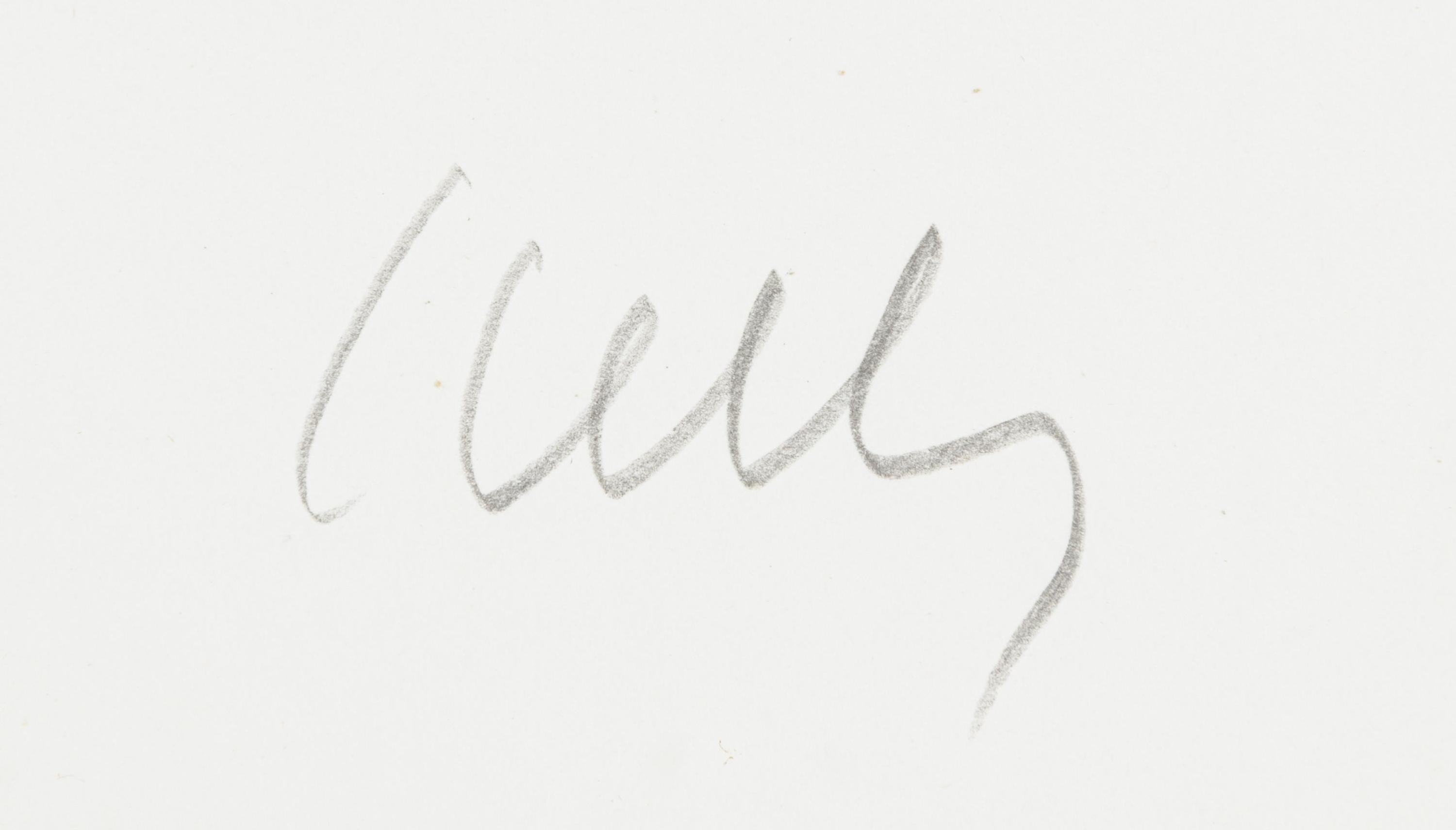 Cyclamen V (from Suite of Plant Lithographs), ca. 1964-1965