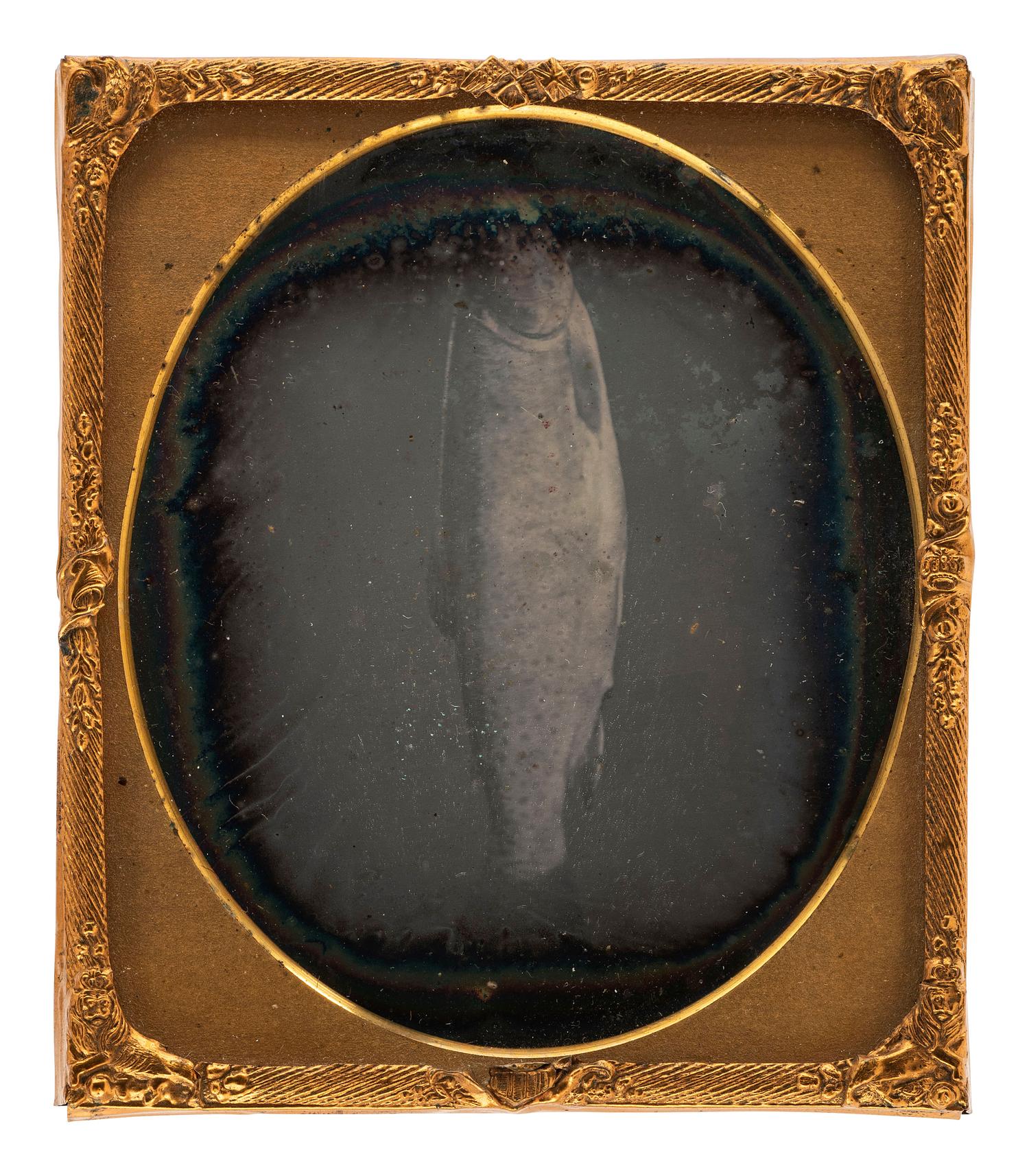 [EARLY PHOTOGRAPHY]. A sixth plate daguerreotype of a fish, possibly a salmon.