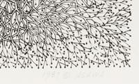 Desert Star (P.004, Tied wire tree with asymmetrical five pointed star in center branching to an enclosed square), 1987