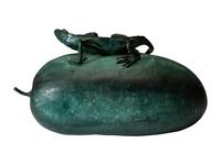 A Bronze Lizard and Drift Seed