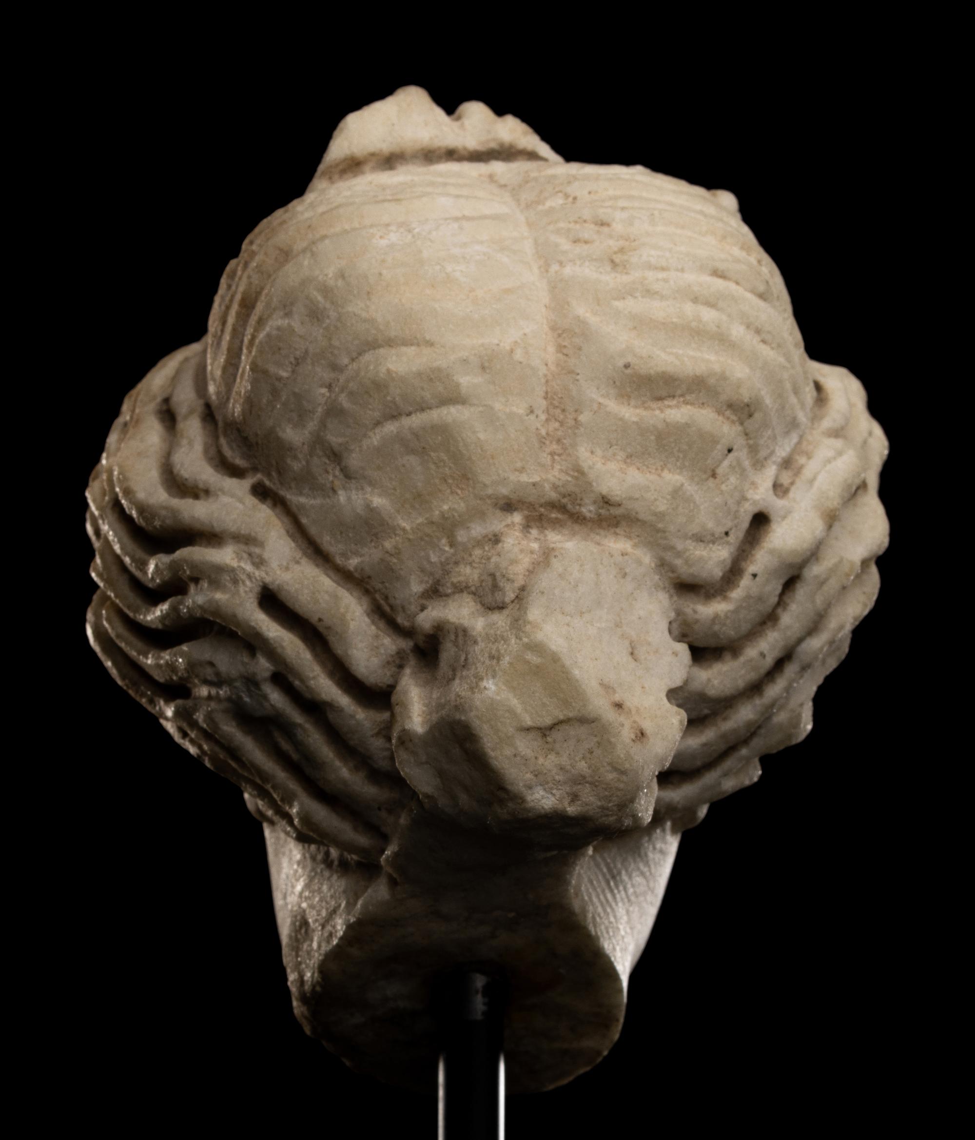 A Roman Marble Head of a Woman