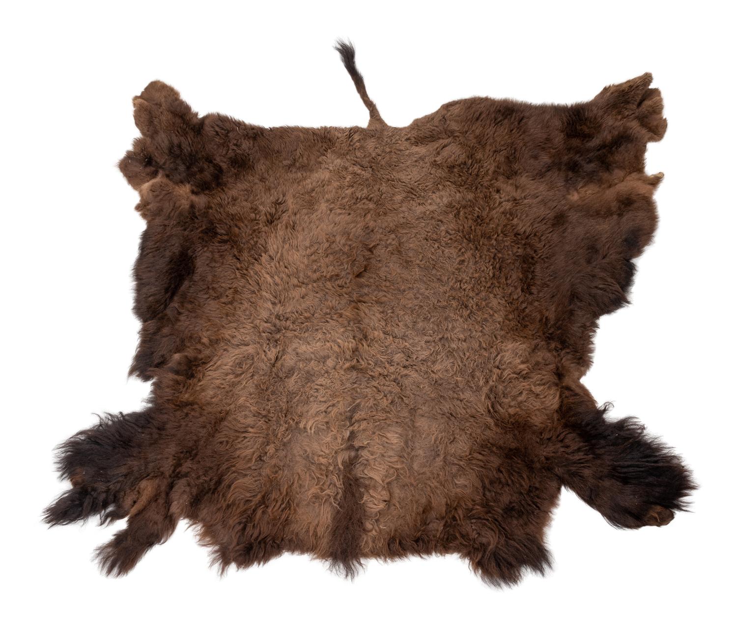 A Buffalo Hide Rug