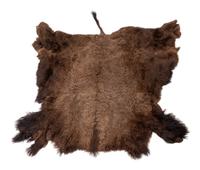 A Buffalo Hide Rug