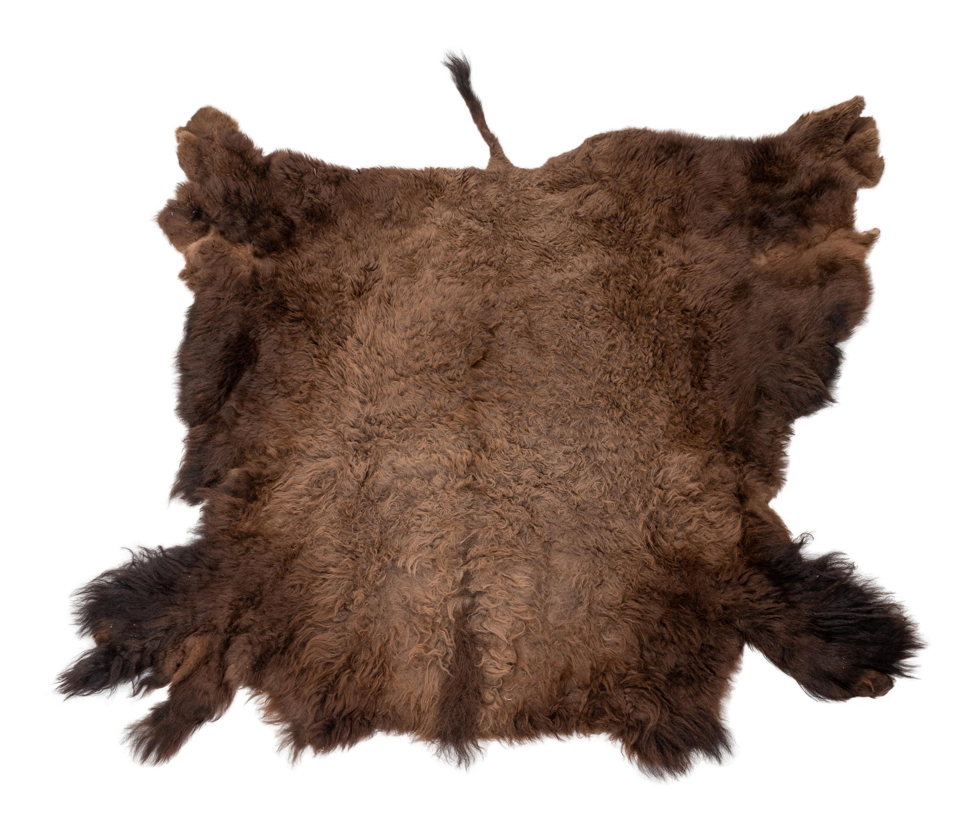A Buffalo Hide Rug