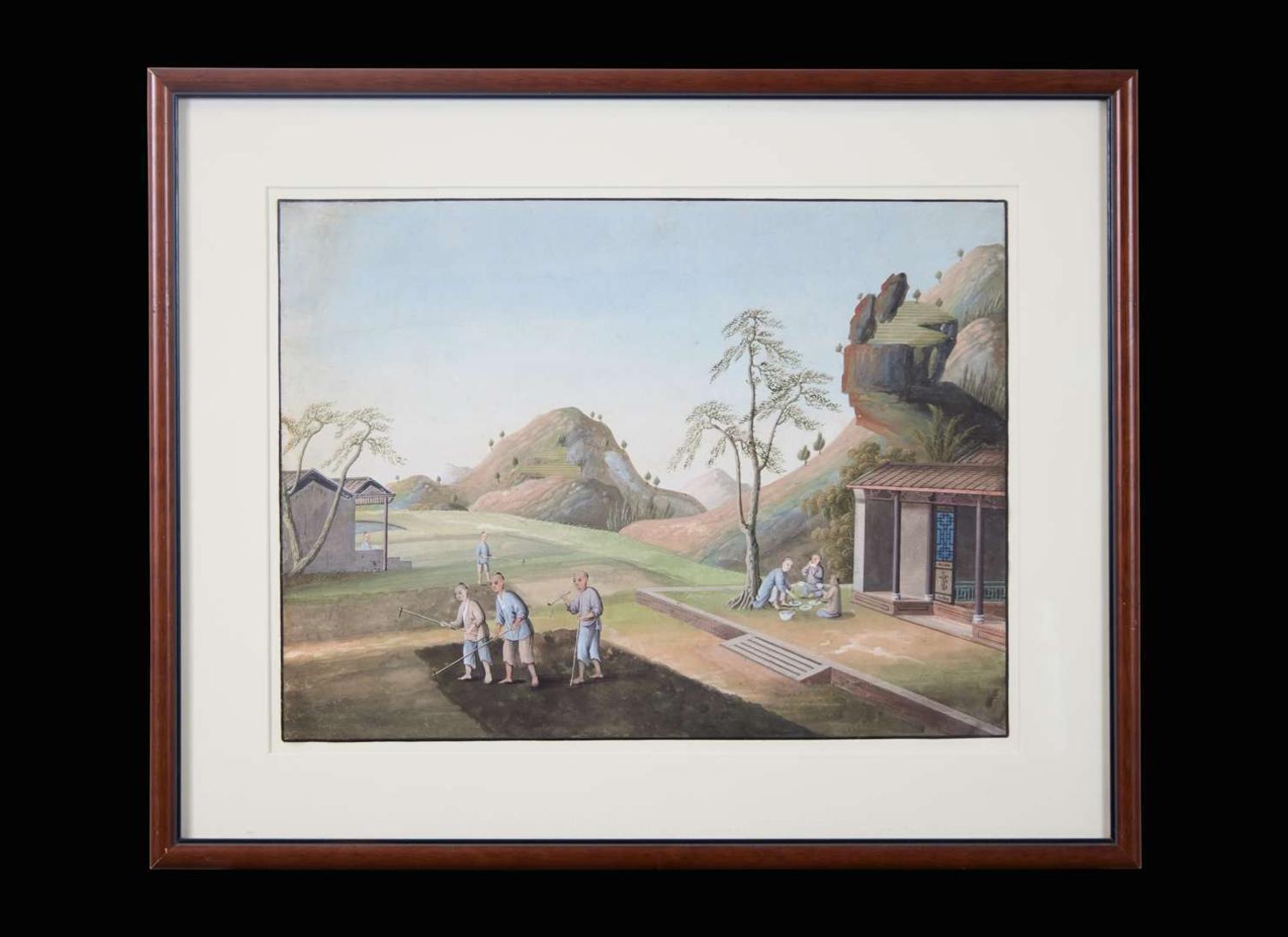 A group of five Chinese Export paintings depicting the manufacture of tea, first part 19th century 製茶圖一組五幅 十九世紀初