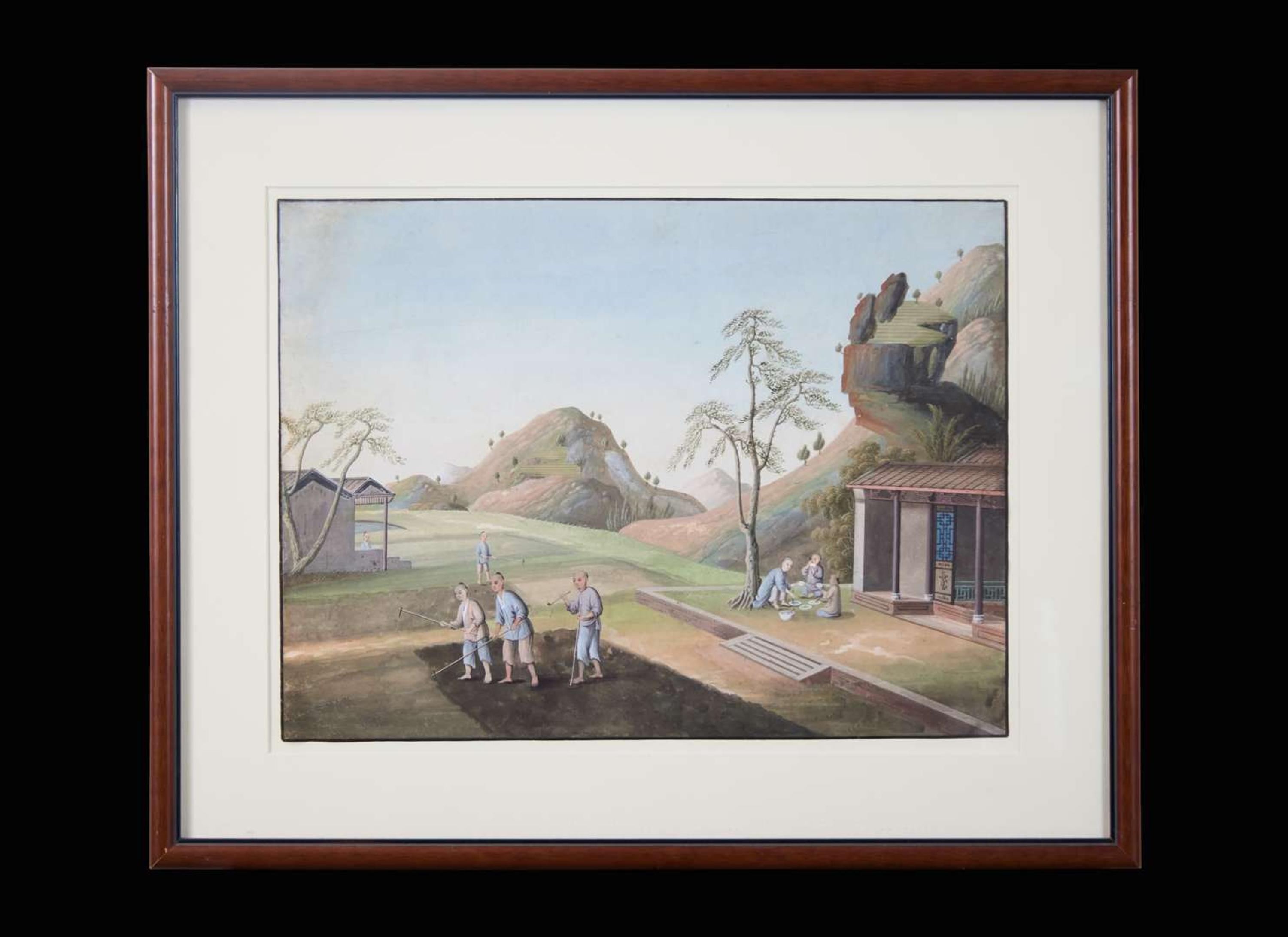 A group of five Chinese Export paintings depicting the manufacture of tea, first part 19th century 製茶圖一組五幅 十九世紀初