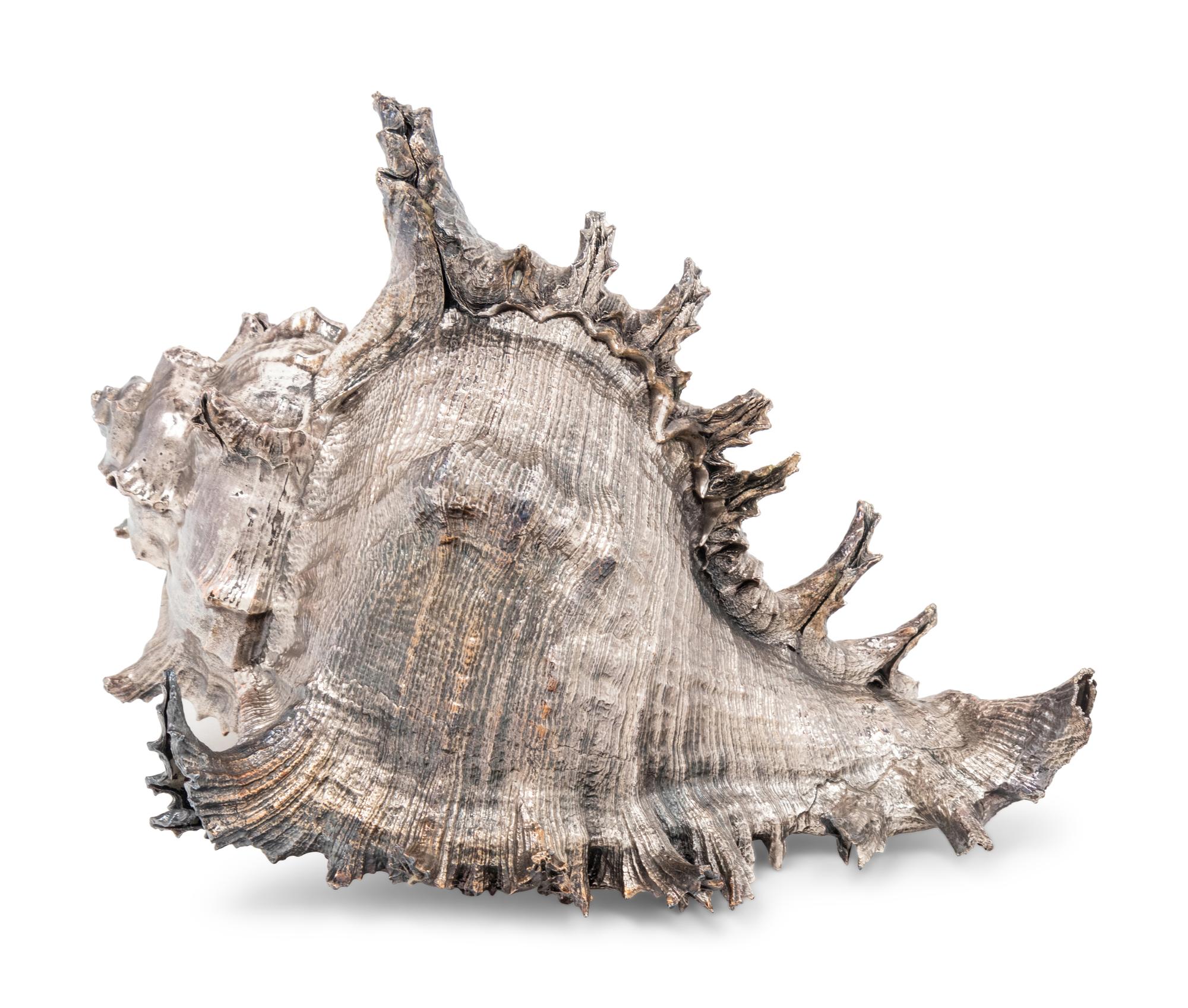 A Verdura Silver-Plate Conch Shell
