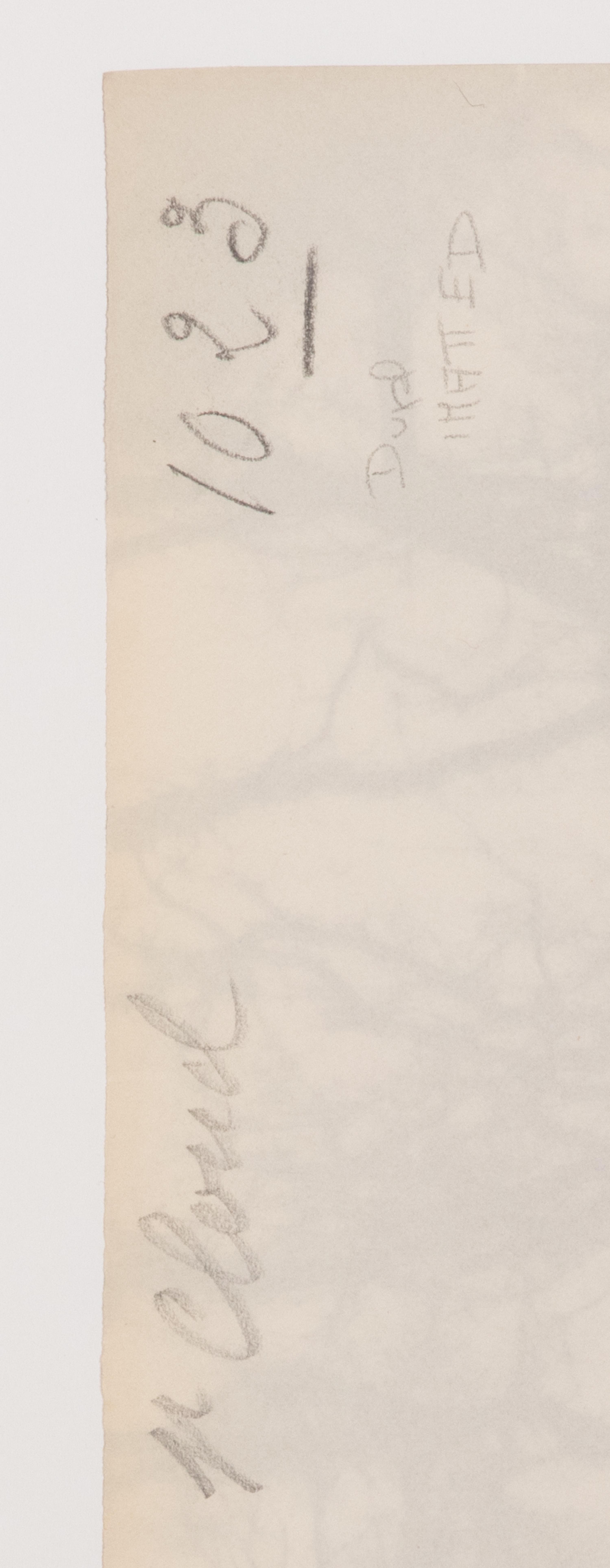 A pair of photographs depicting trees, Saint-Cloud ( Saint-Cloud [chene], 1921; Saint-Cloud [19h matin, mars 1926] , 1926)