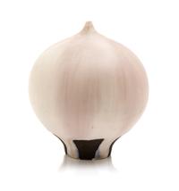 A Rose Cabat Vase Height 3 3/4 inches. — SECOND HALF 20TH CENTURY