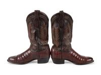 Tony Lama Brown Alligator Boots