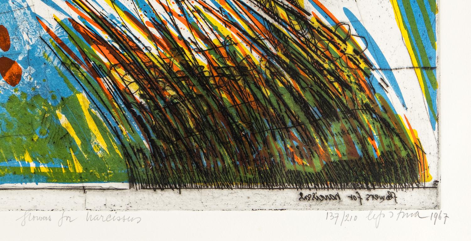 Flowers for Narcissus , 1967