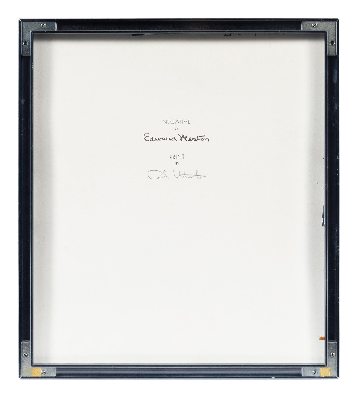 Shell , 1927; printed later by Cole Weston
