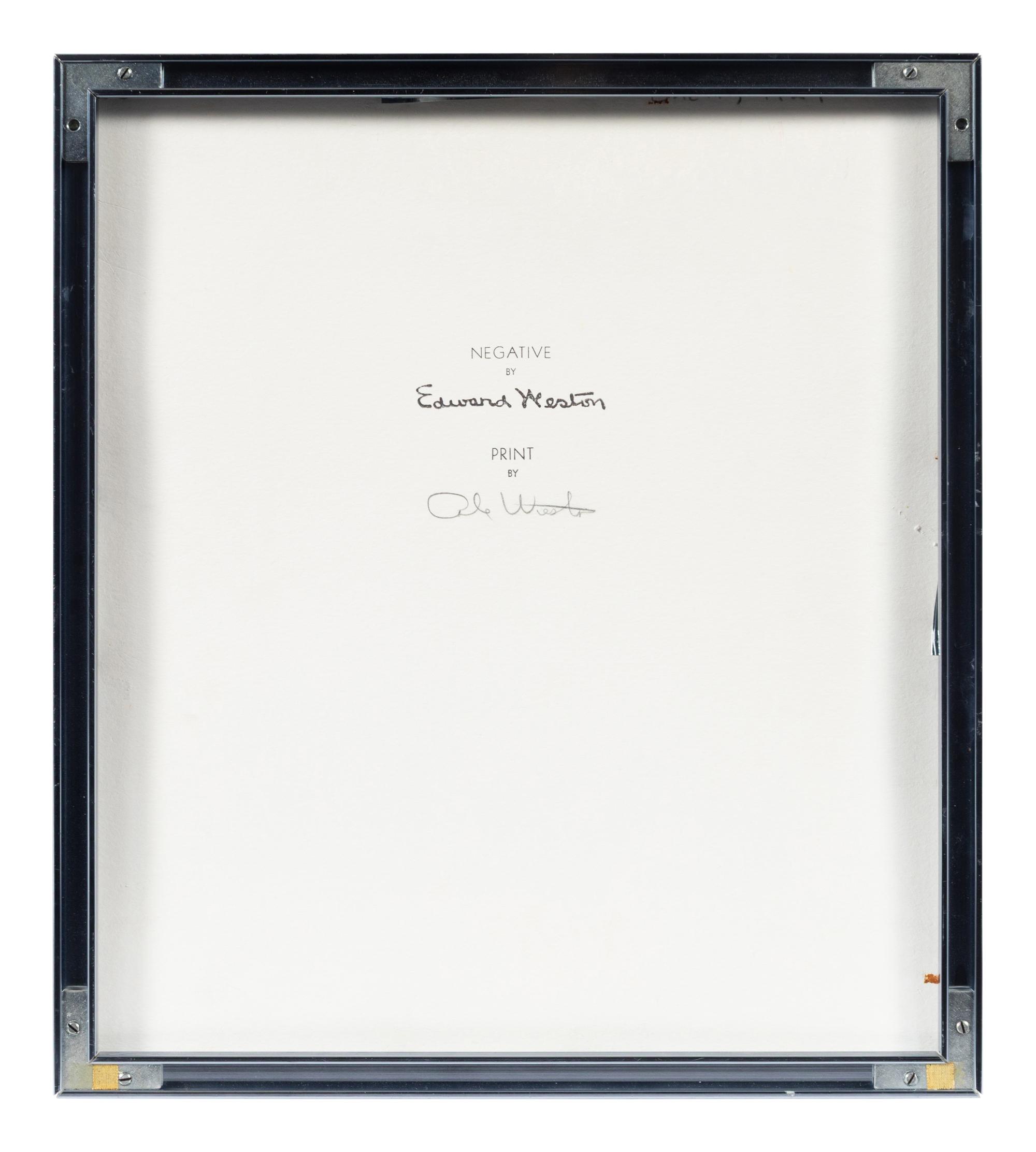 Shell , 1927; printed later by Cole Weston