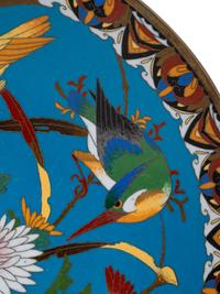 13 Japanese Cloisonné Plates
