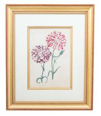 A Group of Four Hand-Colored Engravings from Sir John Paxton Framed 18 x 14 1/2 inches. — 19TH CENTURY