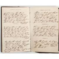 Civil War Diary of Thomas Mains, 33rd Independent Battery, Light Artillery, NYSV