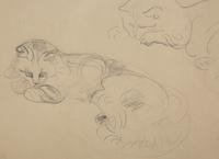 Two Cats