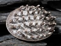Spiked Sterling Silver Belt Buckle