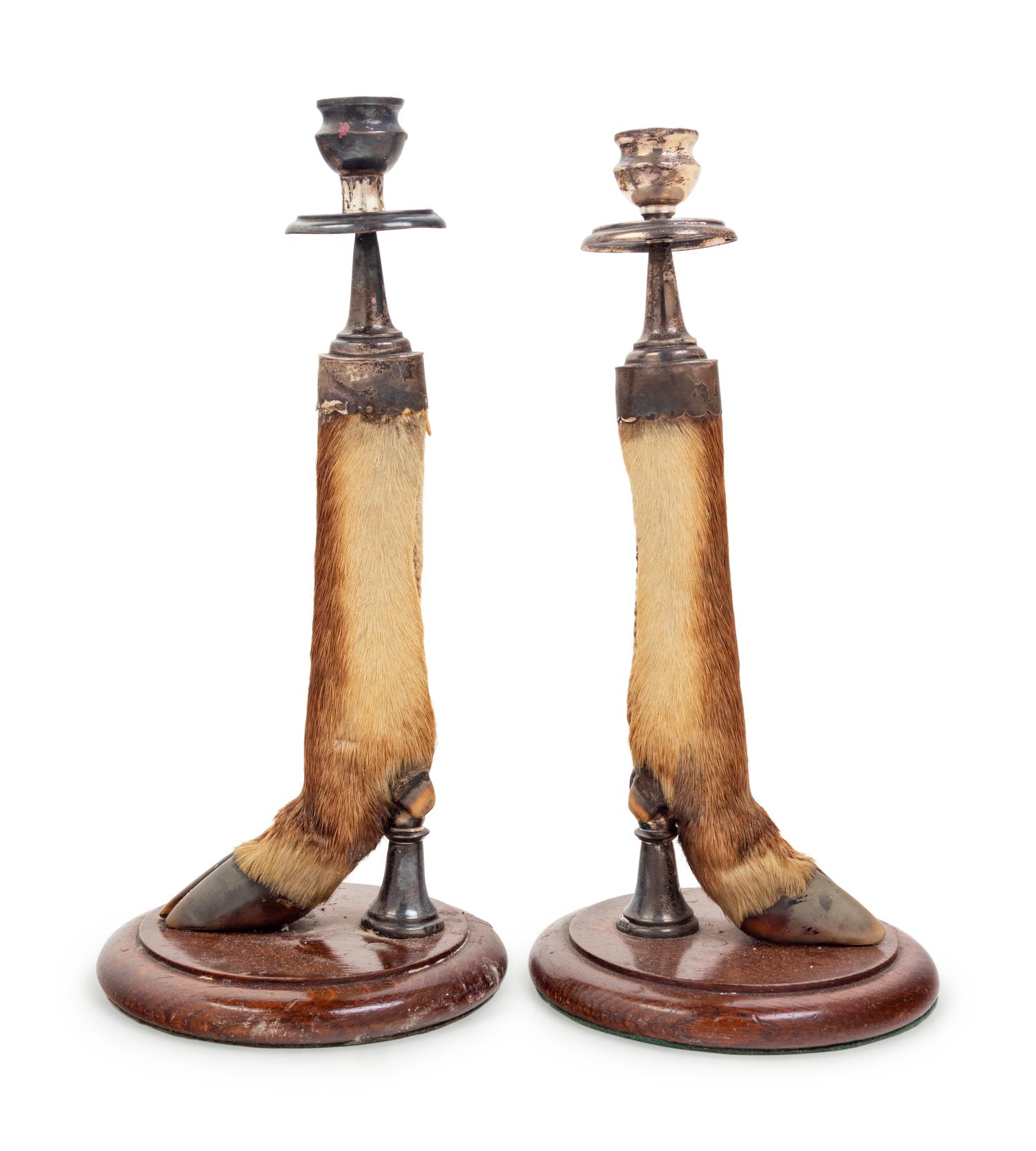 A Pair of English Silver Mounted Taxidermy Candlesticks