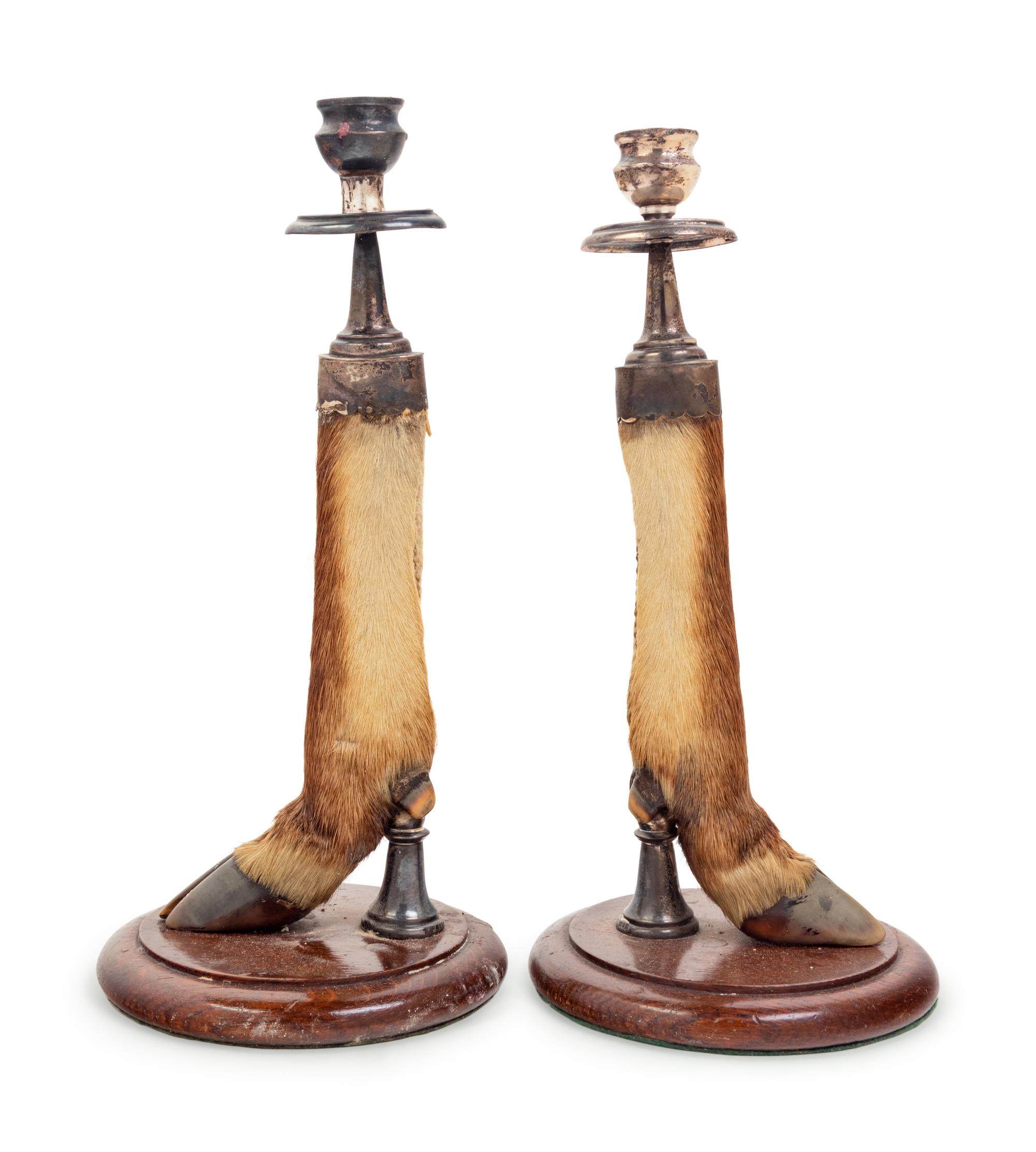 A Pair of English Silver Mounted Taxidermy Candlesticks