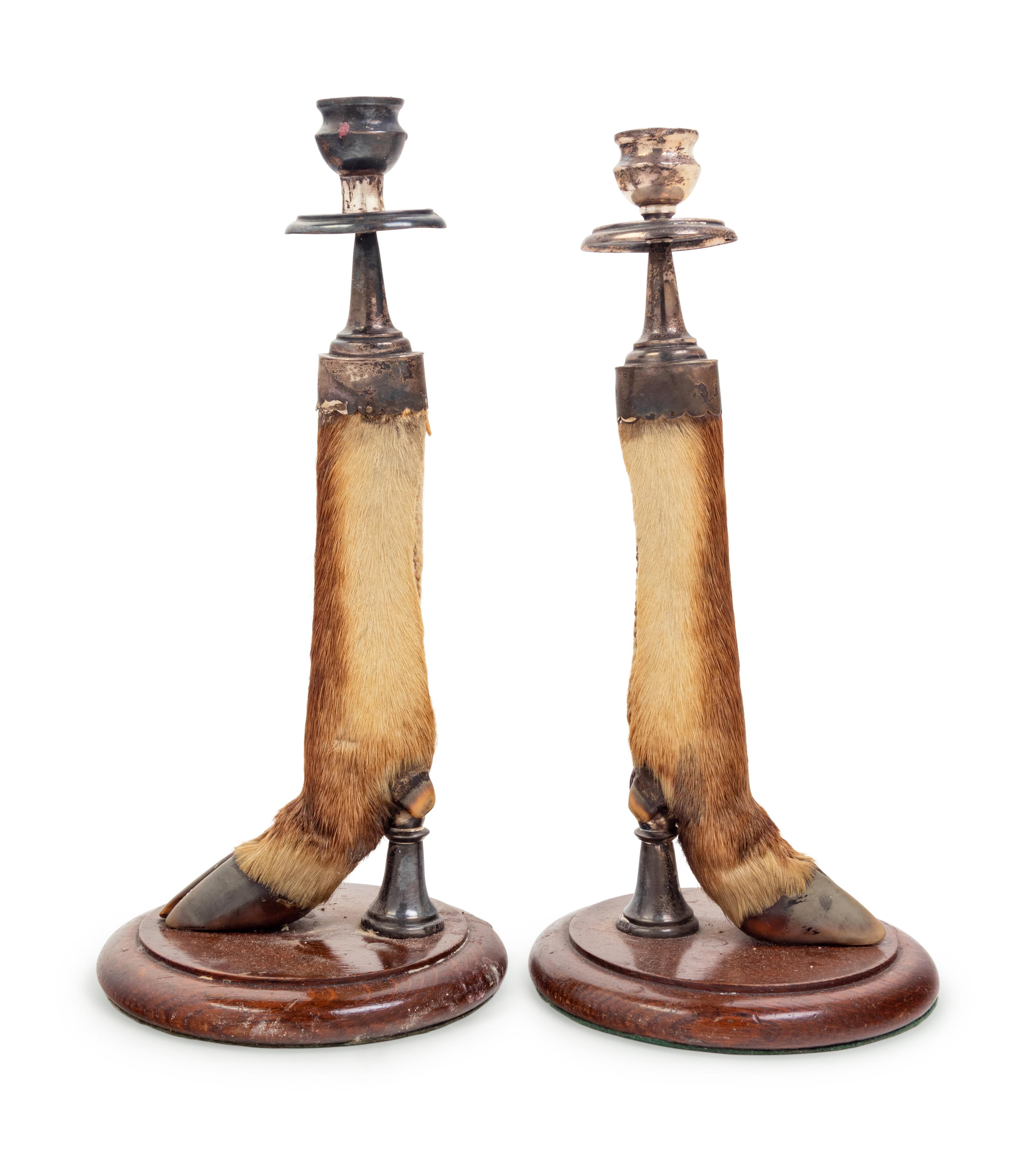 A Pair of English Silver Mounted Taxidermy Candlesticks