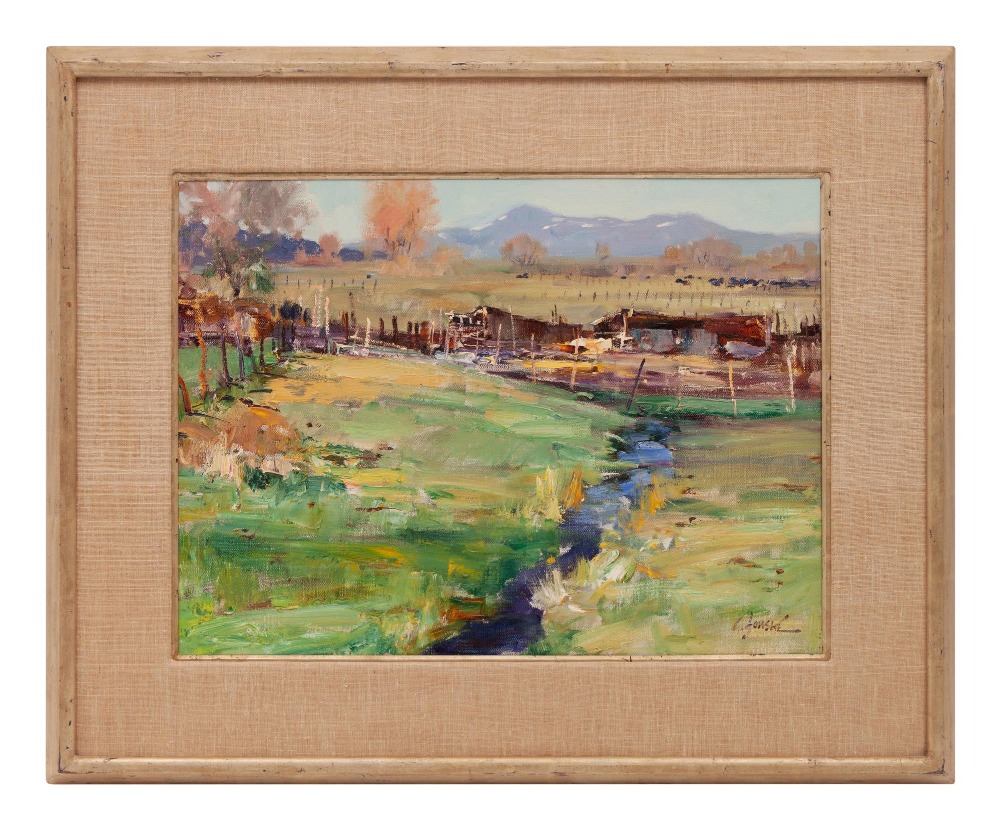 Ranchitos Farm
