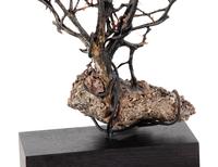 A Black Coral Branch Specimen and Red Coral Specimen