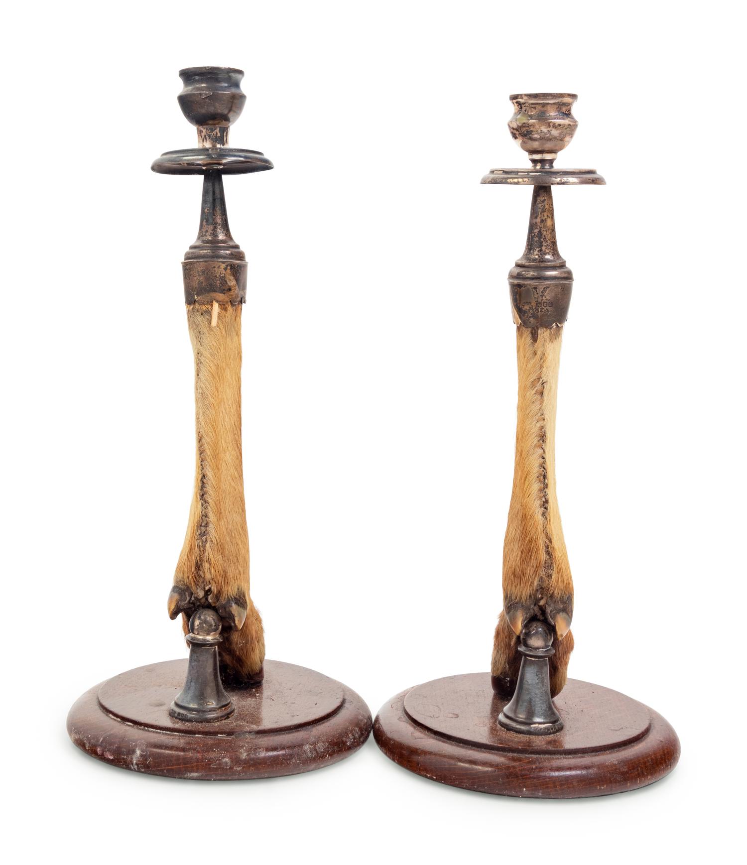A Pair of English Silver Mounted Taxidermy Candlesticks