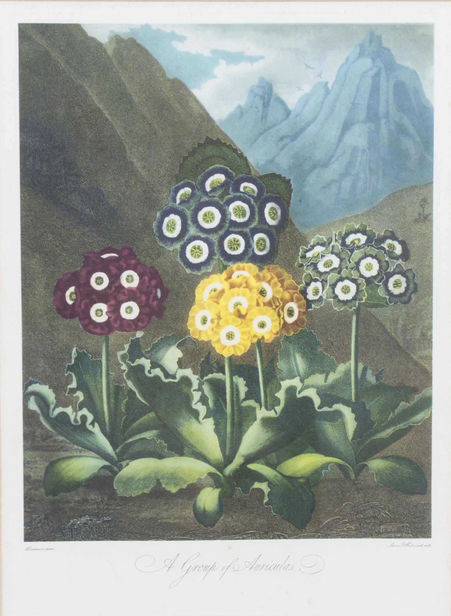 A Group of Seven Hand Colored Engravings Largest 27 x 21 inches. — 19TH CENTURY