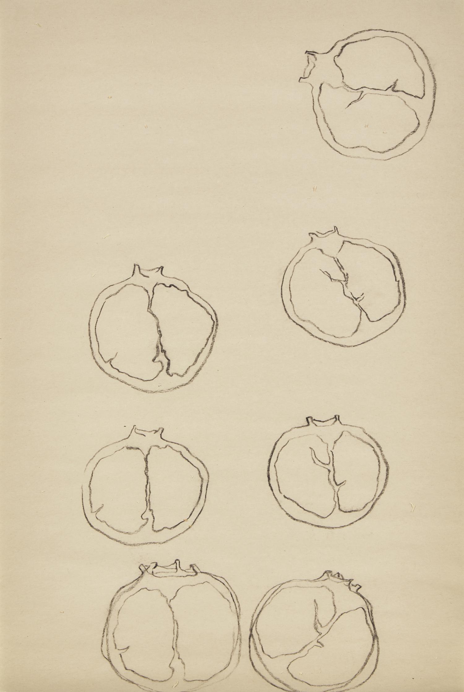 Pomegranetête , 2017