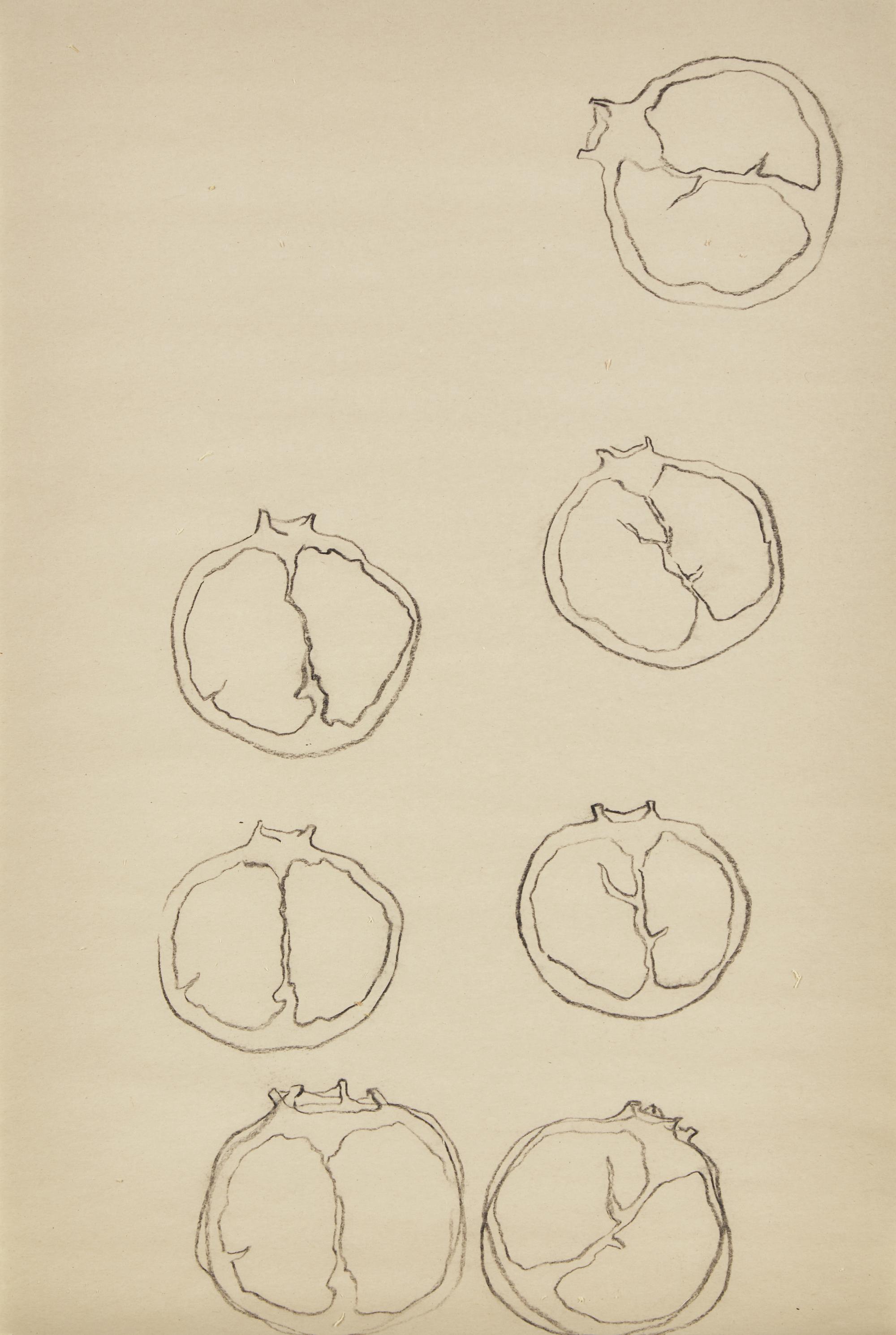 Pomegranetête , 2017