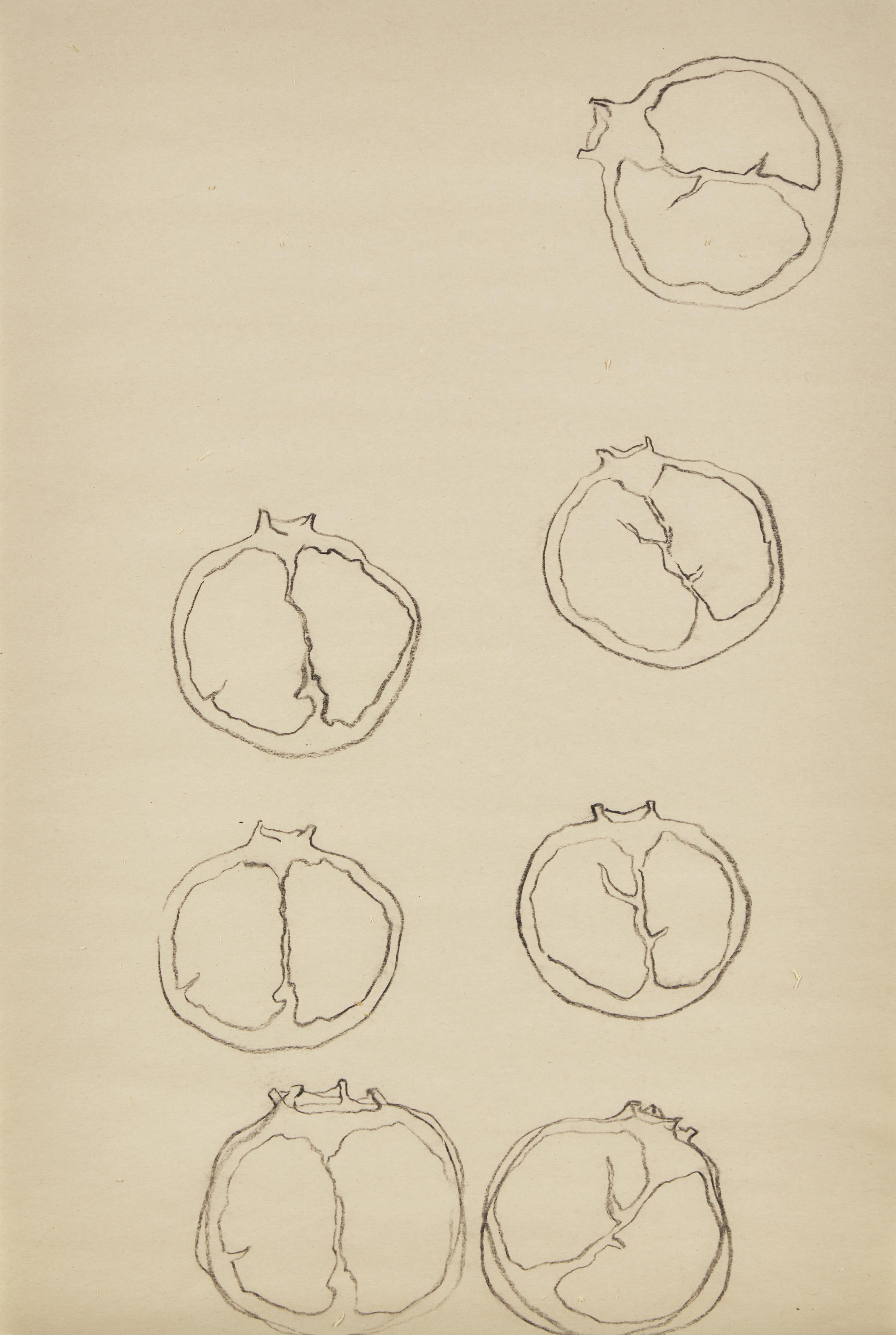 Pomegranetête , 2017