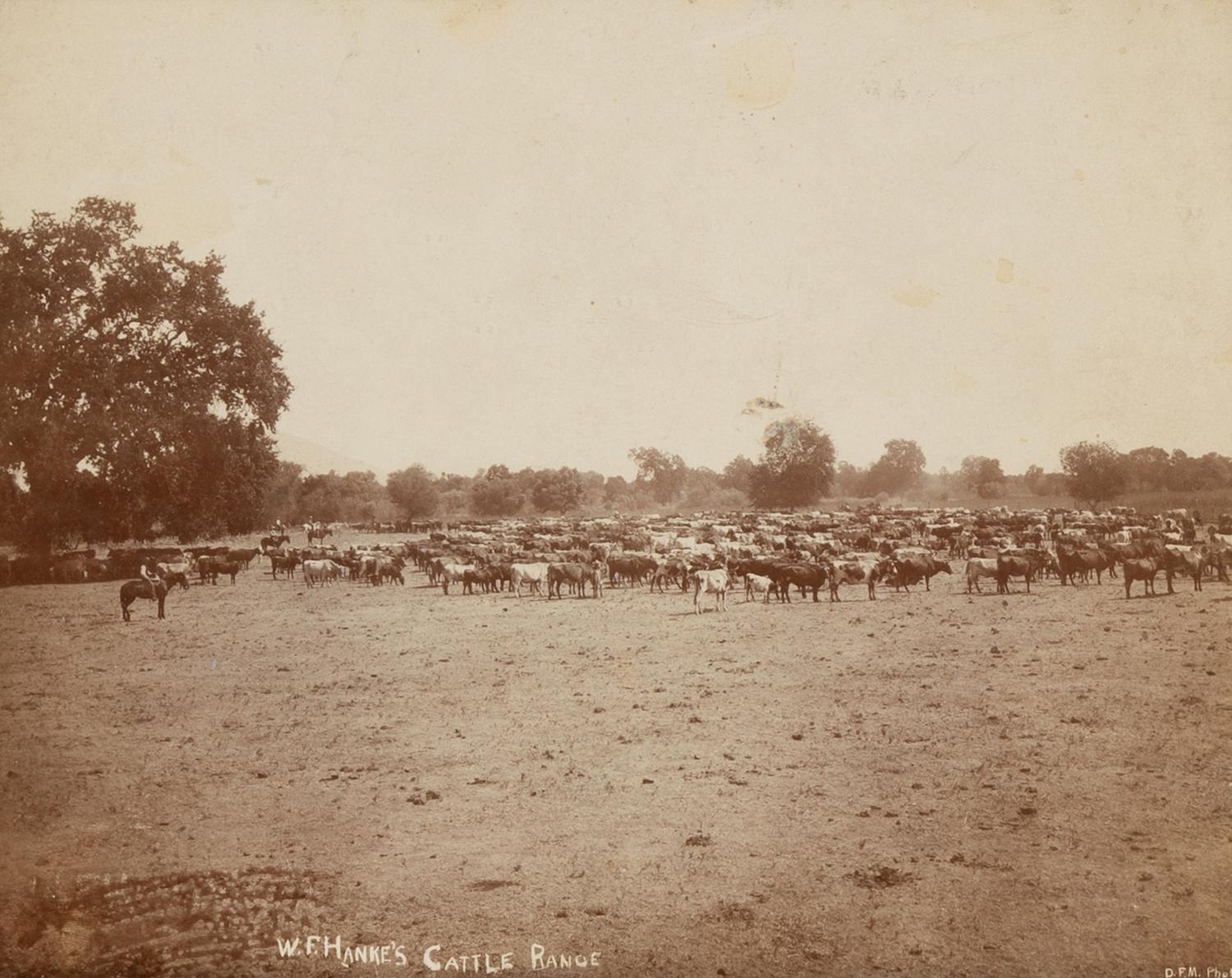 [Western Americana]. A group of 6 photographs of ranch scenes, cowboys and Native Americans, incl. images by Kirkland.
