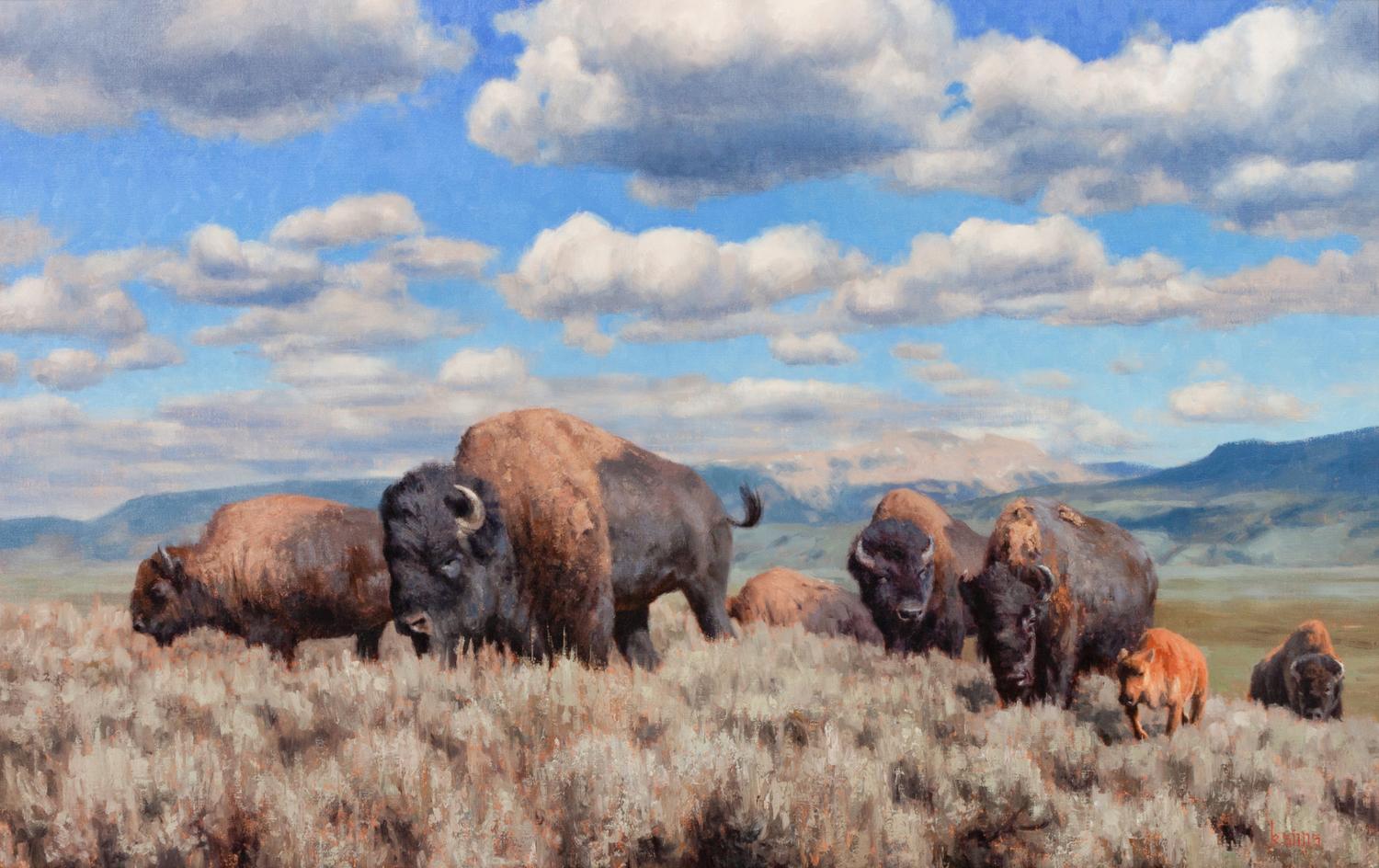 Prairie Rhythms