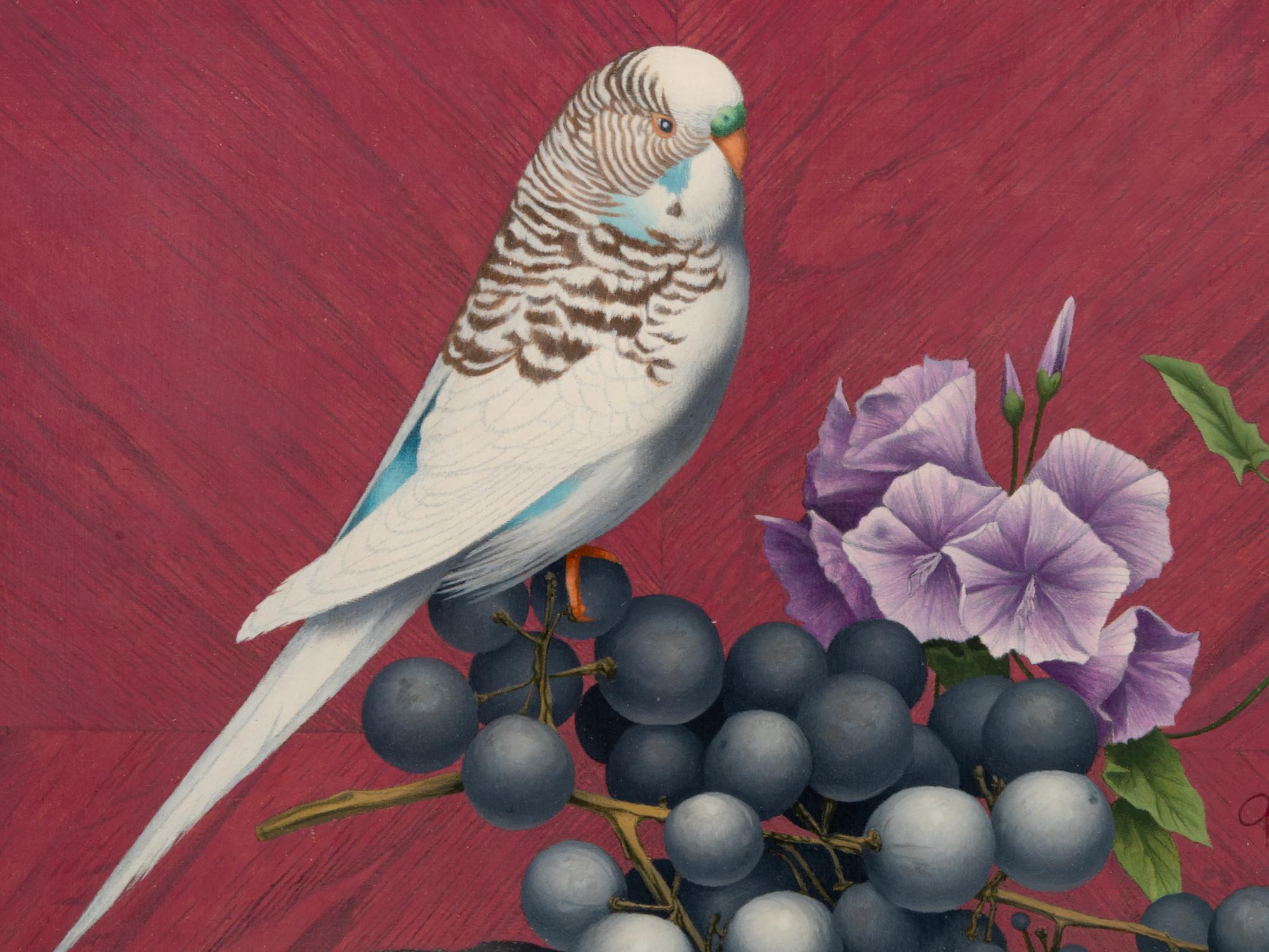 Budgie and Grapes