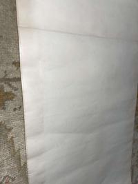 Chen Zun 陈遵 菊图 (Chinese)