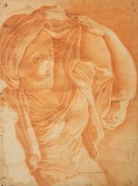 Giovane Donna Guardando a Sinistra (Young Woman Looking Left)