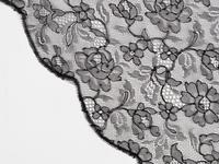 Eleven Articles of Antique Lace