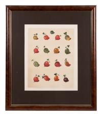 Four Hand Colored Fruit Engravings by George Brookshaw