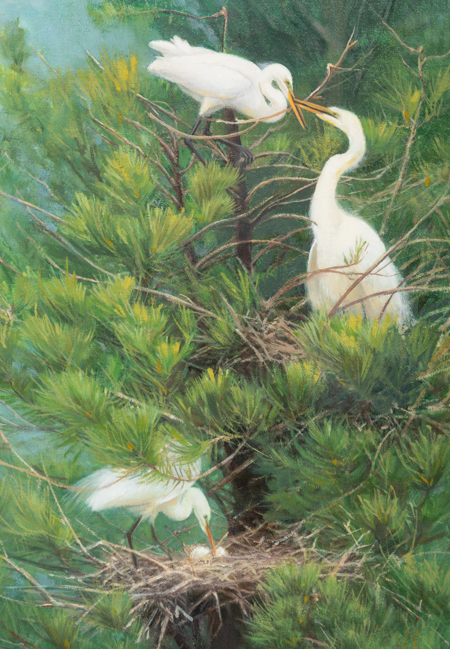 The Family Tree - Great Egrets , 2008