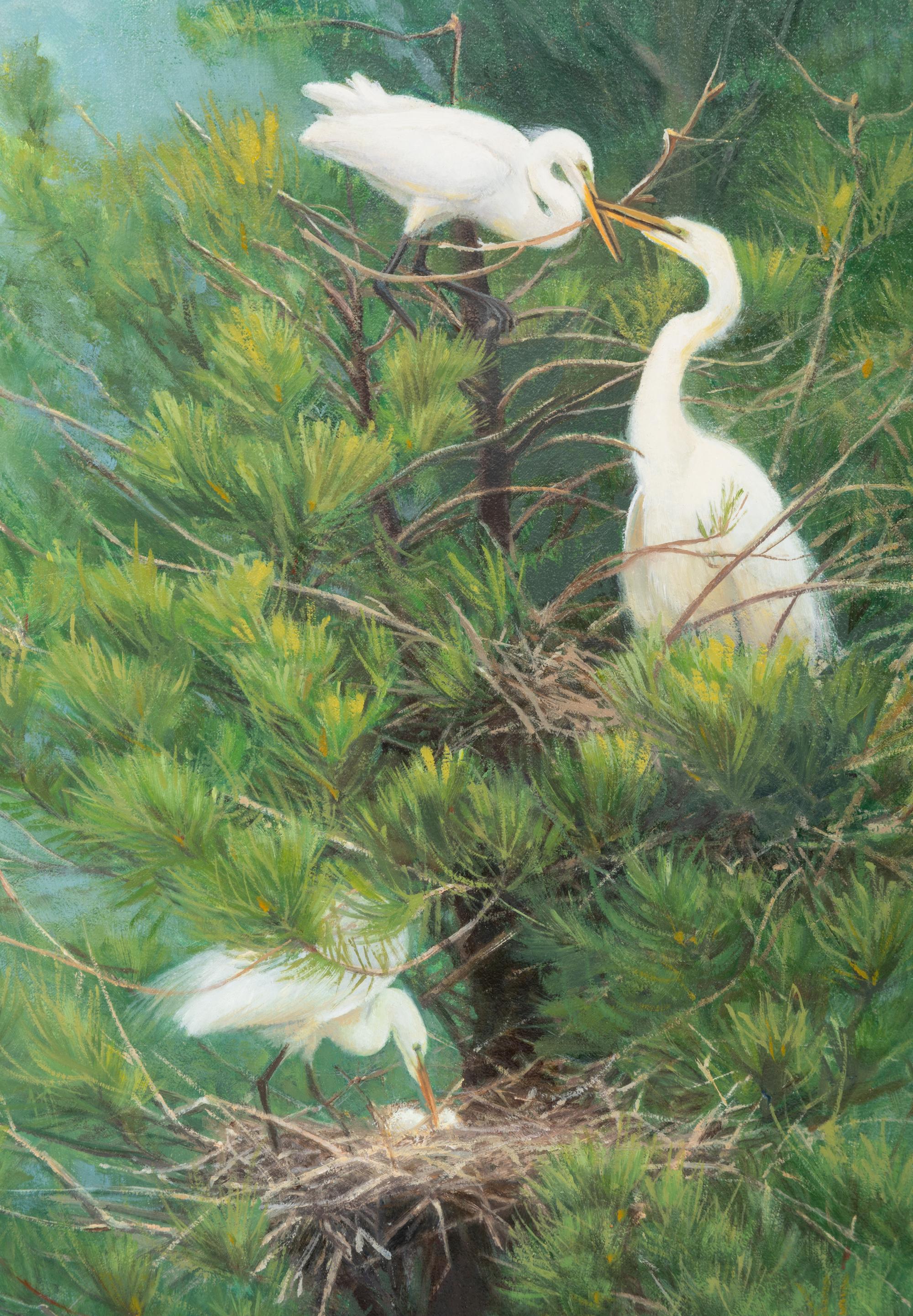 The Family Tree - Great Egrets , 2008