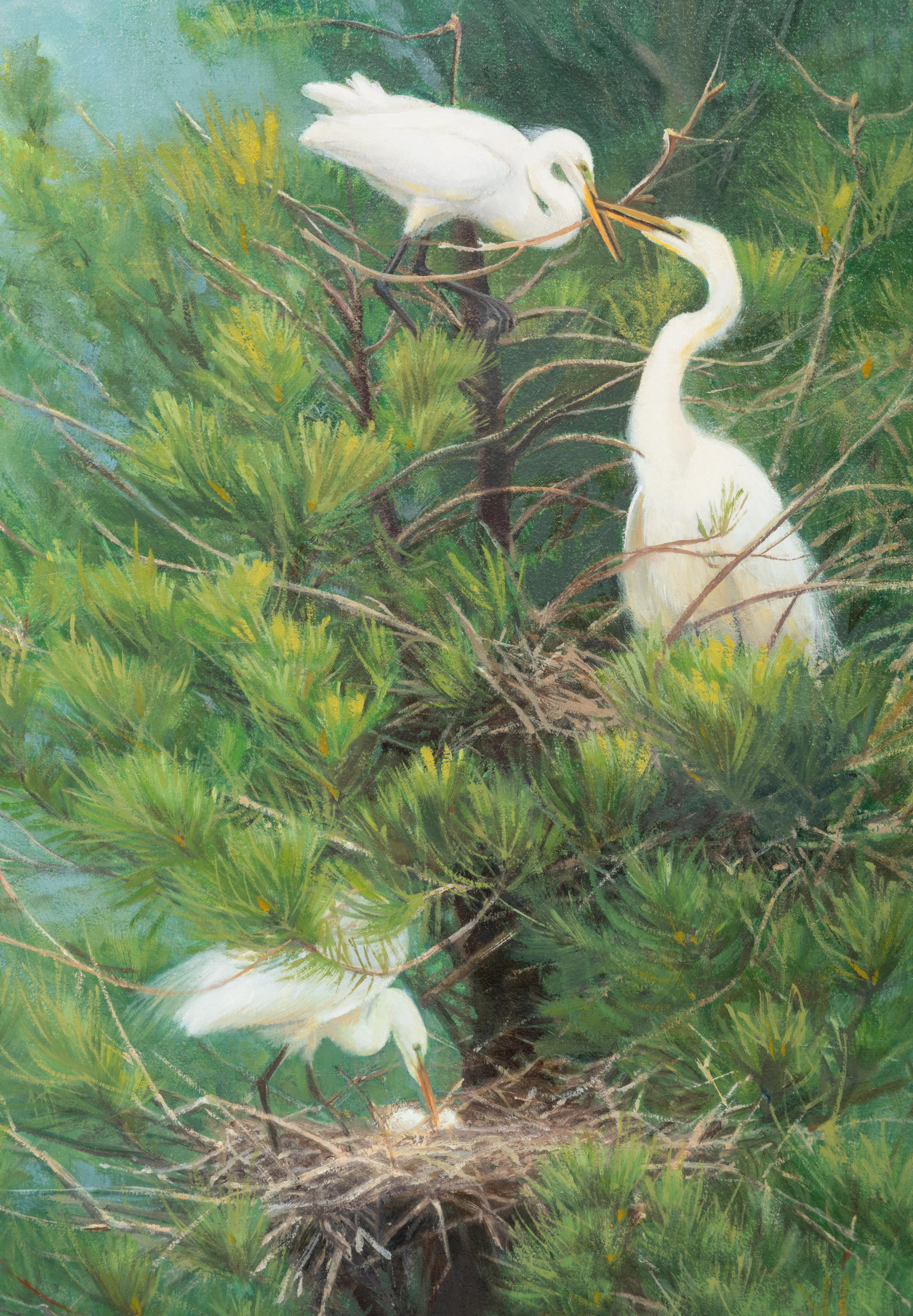 The Family Tree - Great Egrets , 2008