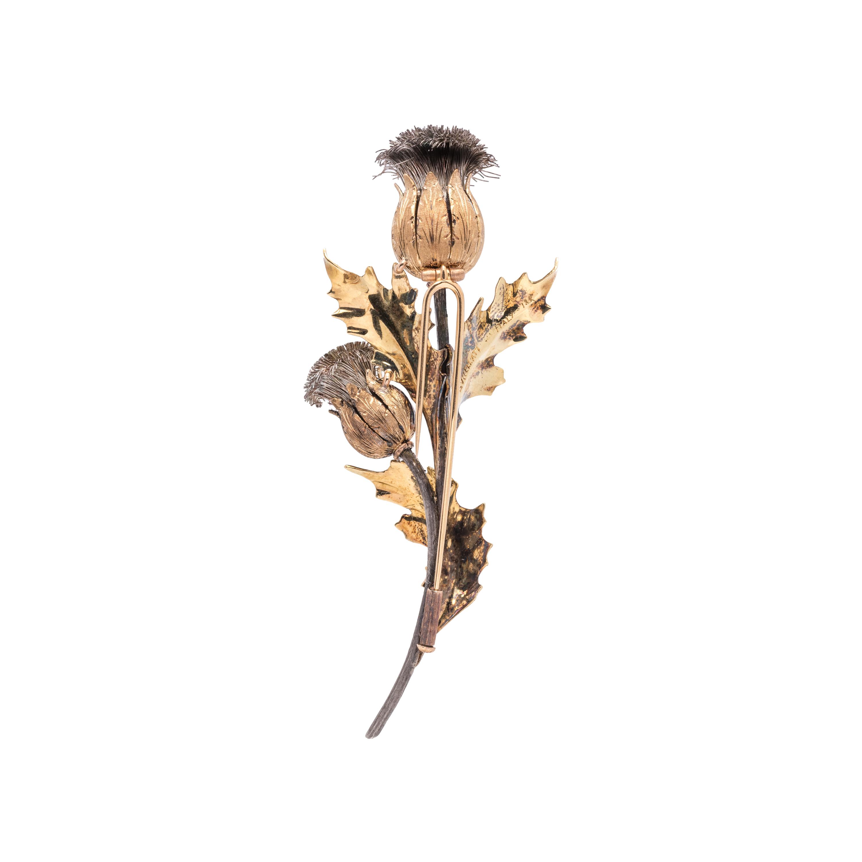 BUCCELLATI, TRICOLOR GOLD THISTLE BROOCH