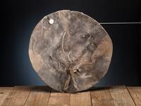 Pueblo Buffalo Hide Shield