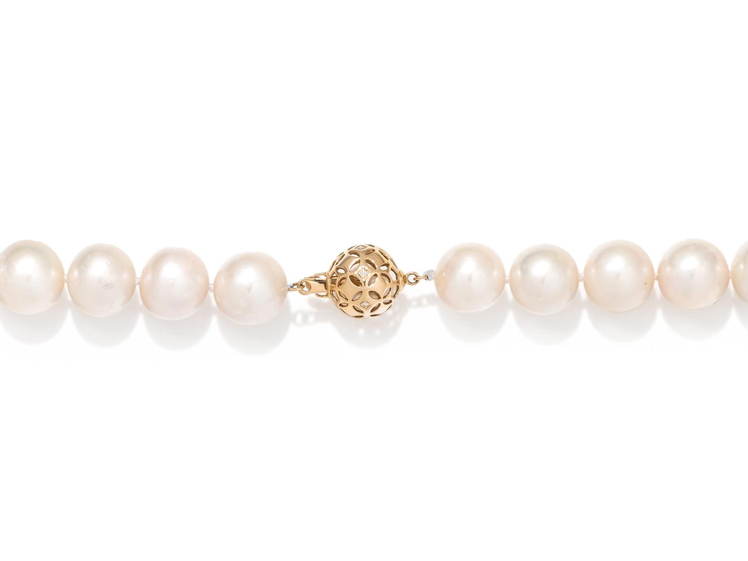 CULTURED SOUTH SEA PEARL NECKLACE