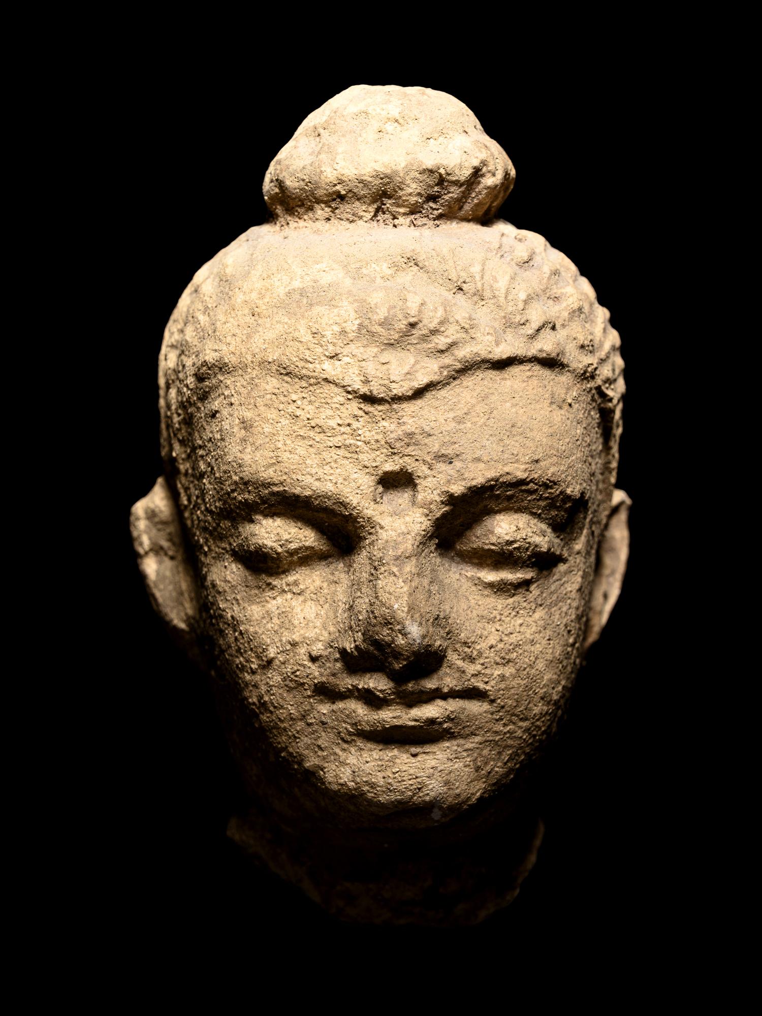 Two Gandharan Fragmentary Stucco Heads