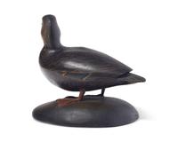 Anthony Elmer Crowell (1862-1951), A Painted and Carved Standing 2/3 Size Black Duck