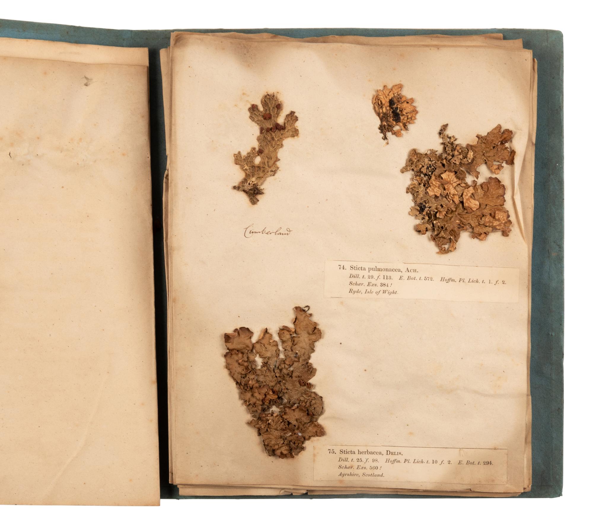 [NATURAL HISTORY-SPECIMEN ALBUM]. LEIGHTON, William Allport, Rev. (1805-1889). Lichenes Britannici Exsiccati . London and Shrewsbury: William Pamplin, 1851-54.